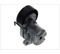 Tendeur, courroie trapézoïdale à nervures INA 534 0439 10 pour MALIBU 2 2012-