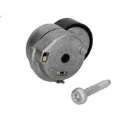 Tendeur, courroie trapézoïdale à nervures INA 534 0607 10 pour MUSA 1.3 2009-