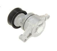 Tendeur, courroie trapézoïdale à nervures SKF VKM 64052 pour 2 (DY) 1.2 2003-