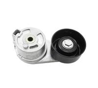 Tendeur Courroie Trapézoïdale Pour Cadillac Pour CTS Pour SLS Pour Tendeur De Courroie Pour SRX 12577652