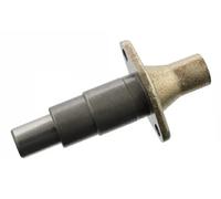 FEBI BILSTEIN Tendeur de chaîne de distribution 30548 pour Mercedes W169/W245