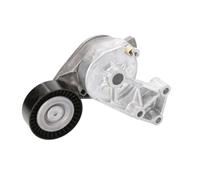 Tendeur de courroie, courroie trapézoïdale à nervures Schaeffler INA 534 0132 30