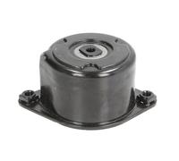 Tendeur de courroie, courroie trapézoïdale à nervures Schaeffler INA 534 0170 10