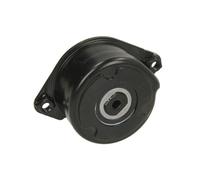 Ina Tendeur de courroie multi-cannelée 534 0171 10 pour BMW et Land Rover