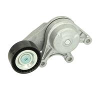 Ina Tendeur de courroie multi-cannelée 534 0535 10 pour BMW 5, 1, X1, 5 Touring, X3
