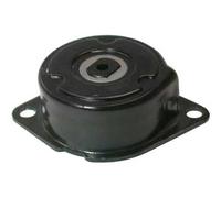 JP Group Galet tendeur de courroie 1118200700 pour Seat Ibiza 6K, VW T4, Audi A6/80, 1.9 Diesel/TDi