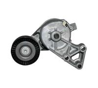 Tendeur de courroie d'accessoires pour VW Transporter T5 1.9 TDi et 2.0 essence