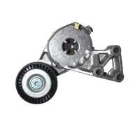 Tendeur de courroie d'accessoires pour VW Transporter T5 2.0 essence