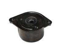 Tendeur de courroie de pompe à eau et alternateur FEBI pour BMW X3 E83 (01/2003-08/2010)
