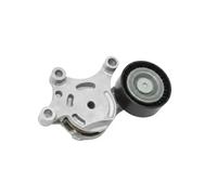 Ina Tendeur de courroie multi-cannelée 534 0075 20 pour Ford Citroën Mazda Volvo