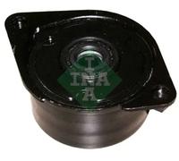 Tendeur de courroie multi-cannelée 534 0171 10 INA pour BMW LAND ROVER