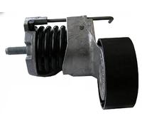 Tendeur de courroie multi-cannelée 534 0366 10 INA pour BMW 3 Touring 3 Coupé 1