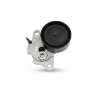 Tendeur de courroie multi-cannelée 534 0546 10 INA pour AUDI VW SEAT SKODA