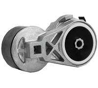 INA 534 0697 10 Galet tendeur de courroie d'accessoire