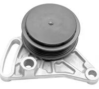 DAYCO APV2038 Poulie, tendeur de courroie d'accessoire