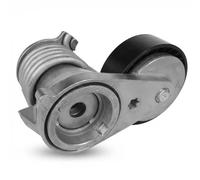 Dayco Tendeur de courroie APV3019 - courroie trapézoïdale à nervures pour Ford, Volvo