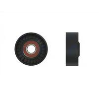 NTY RNK-CH-022 Galet tendeur de courroie d'accessoire