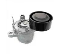SKF Galet tendeur de courroie d'accessoire VKM 33319