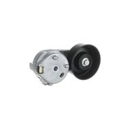 Tendeur de courroie multi-cannelée VKM 37044 SKF