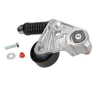 TENDEUR DE COURROIE MULTIFR. FORD 2.0TDCI MONDEO/TRANSIT 2.0TDCI 00-