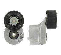 TENDEUR DE COURROIE MULTIFR. FORD TRANSIT 2.4DI/TDCI
