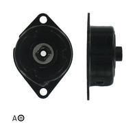 TENDEUR DE COURROIE MULTIFR. VW 1.7SDI/1.9D/SDI POLO 94-99