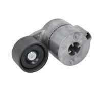 Tendeur de courroie multi-cannelée 140.378-00A PE Automotive