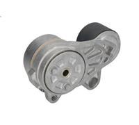 Tendeur de courroie Poly-V DAYCO APV3142 pour D ACCESS 7.698 2014-2021