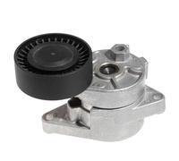 Tendeur de Courroie pour BMW 325Ci 530I pour X3 pour X5 E34 E36 Z3 E39 E46 E53 E60 E83 E85 N52 Poulie tendeuse de Courroie d'entraînement Automobile 11281427252