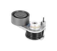 Tendeur de courroie DT Spare Parts 5.41461, D: 70 mm, W: 31 mm