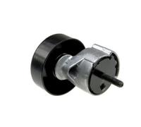 NTY Galet tendeur de courroie à Poli-V RNK-CH-011 pour Chrysler Jeep