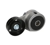 BTA B05-AG-020 Galet tendeur de courroie d'accessoire