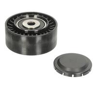 Tendeur Pour Courroie Externe Audi INA 532056410