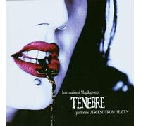 Regain Handmade Shoes Chaussures Tenebre - Descend from Heaven