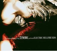 Regain Handmade Shoes – Chaussures Tenebre - Electric Hellfire Kiss – Import