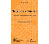 Ténèbres et lueurs Rêveries d'une promeneuse au Levant - Jean-Marc Ayrault - L'harmattan - broché - Roman