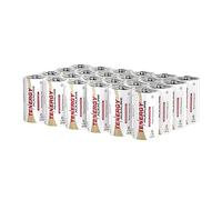 Tenergy Lot de 24 Piles alcalines LR14 de 1,5 V, Haute Performance, Piles C Non Rechargeables pour horloges, télécommandes, Jouets et appareils électroniques, Piles C de Rechange