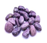TENET - 5 pièces pierre naturelle poncée pour cristallothérapie, reiki et méditation - 20-25 mm (lépidolite)