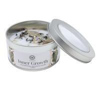TENET - Bougie parfumée artisanale avec pierres dures, 70 g, mèche en coton, durée 10 à 12 heures, fabriquée en Inde (menthe - pierre de lune - croissance intérieure)