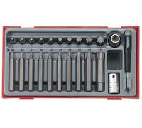 Teng Douille Embout Torx Set 23 Pièce 1.3cm Drive Court Et Long en Un Bac TTTX23