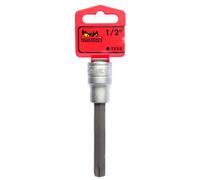 Teng Tools M122255T-C Avec 12 Drive 117440800 Douille Longue Torx TX55