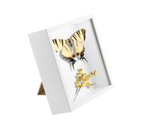TENGYIF Cadre 3D 20x20 cm Cadre Profond, Cadre Photo Vitrine 3D Cadre Boîte en Bois Cadre d'Objet Carrée Pour Médailles, Billets, Fleurs, Souvenirs, Diamond Painting