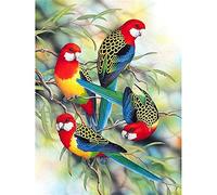 TengYuer DIY Bricolage Diamond Painting Kits, Arbre à oiseaux 5D Peinture Diamant Artisanat Strass Point Croix Painting Kit Complet pour Adultes, Enfants, Décoration Intérieur Round Drill, 50x70cm