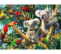 TengYuer DIY Bricolage Diamond Painting Kits, Koala Animal 5D Peinture Diamant Artisanat Strass Point Croix Painting Kit Complet pour Adultes, Enfants, Décoration Intérieur Square Drill, 60x80cm