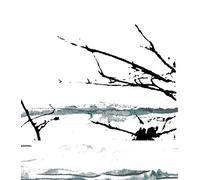 Tenhi - Vare