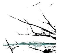 Tenhi - Vare-Digi