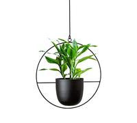 TENMEDARY Pot de fleurs, à suspendre, en métal, convient à l’extérieur et l’intérieur, à la terrasse et au balcon, pour plantes succulentes, aériennes et d’intérieur, rond et noir