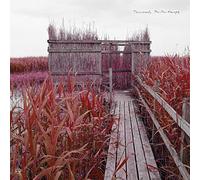 Tenniscoats - Tan Therapy (Remastered) [Import]