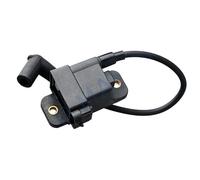 TENREV Bobine d'allumage Assy MDP for Hors-Bord Mer-cury 30HP-300HP 827509T7 827509A9, Module Cdm Assy, 827509A1 827509A5 827509A7 827509T5 827509 Accessoire pour Yacht