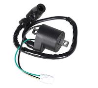 TENREV Bobine d'allumage Compatible avec Suzuki RM250 RM 250 1996 1997 1998 1999 2000 2001 2002-2008 pièces de Rechange